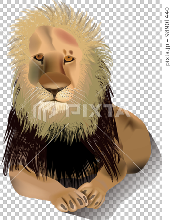 雄獅 雄獅 98901440