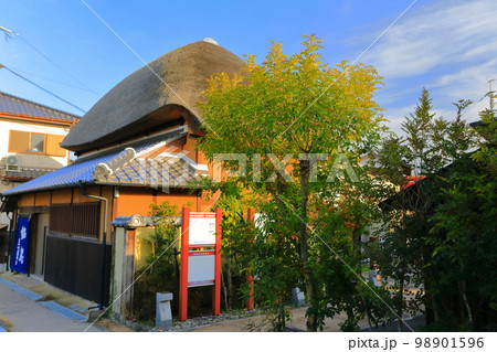 【佐賀県】晴天の肥前浜宿の茅葺町家 98901596