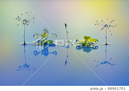 水滴写真 創作写真 水滴写真 創作写真 98901701