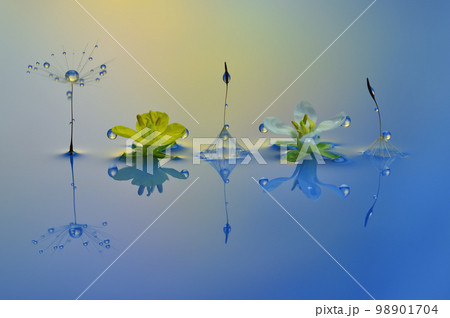 水滴写真　創作写真 98901704