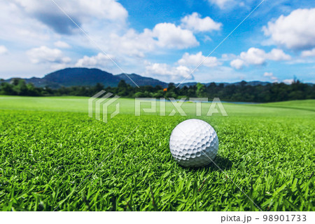Golf ball on green Golf ball on green 98901733