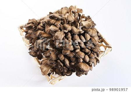 舞茸 舞茸 98901957