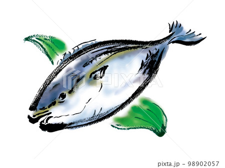 鰤の手描き和風イラスト 鰤の手描き和風イラスト 98902057