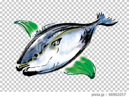 鰤の手描き和風イラスト 鰤の手描き和風イラスト 98902057