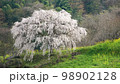 和の原風景 98902128