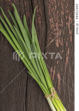 bunch of young green onions bunch of young green onions 98902960