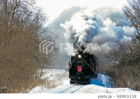 釧路湿原を行くSL冬の湿原号 98903138