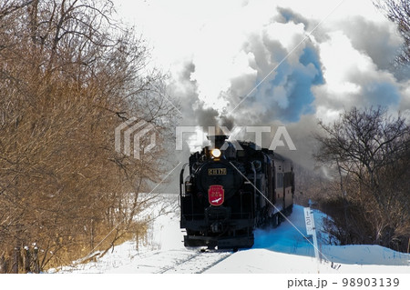 釧路湿原を行くSL冬の湿原号 98903139