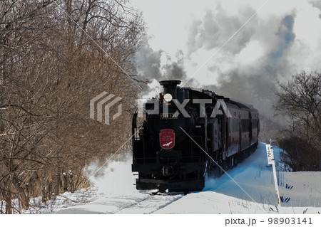 釧路湿原を行くSL冬の湿原号 98903141