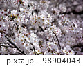 桜 98904043