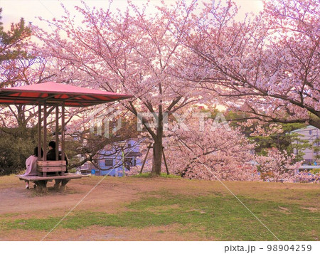西宮桜の名所 西宮桜の名所 98904259