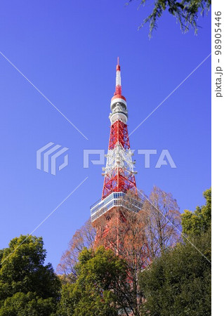 地上から見上げる東京タワー 地上から見上げる東京タワー 98905446