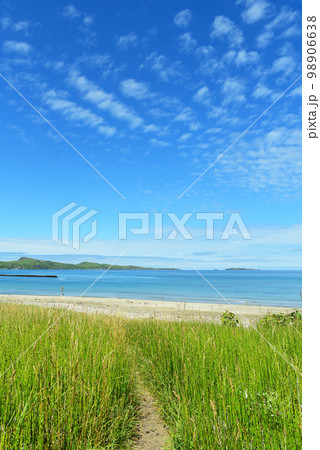 礼文島　船泊の海 98906638
