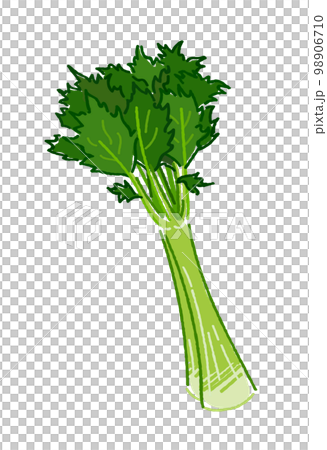 芹菜 98906710