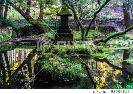 山吹水源の秋景色　【熊本県阿蘇郡産山村】 98906812