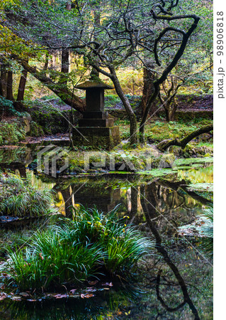 山吹水源の秋景色　【熊本県阿蘇郡産山村】 98906818