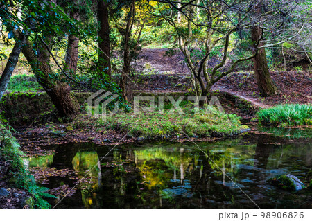 山吹水源の秋景色　【熊本県阿蘇郡産山村】 98906826