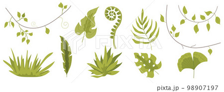 Dinosaur footprint tracks. Illustrations paw, claw predator. Dinosaur footprint perfect for textile, wrap and wallpaper and design. Dinosaur footprint tracks. Illustrations paw, claw predator. Dinosaur footprint perfect for textile, wrap and wallpaper and design. 98907197