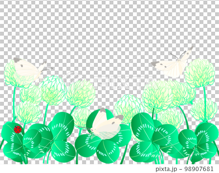 白三葉草和monsacea 98907681