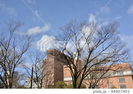 鳥取市街地の都市風景 98907903