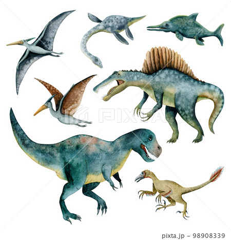 Watercolor dinosaurs illustration set with preditory tyrannosaur, spinosaurus, flying dunosaurs and veloiraptor 98908339
