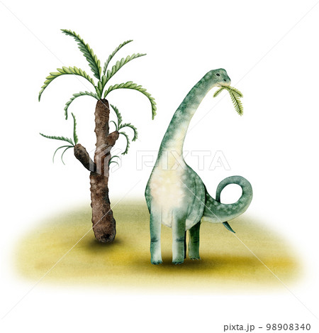 Green watercolor brachiosaurus dinosaur eating palm tree leaves composition isolated on white background 98908340