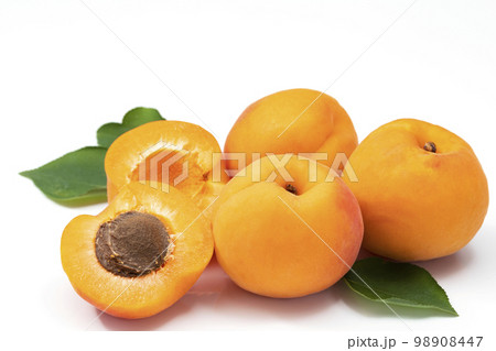 白バックで輪切りにしたあんず 白バックで輪切りにしたあんず 98908447