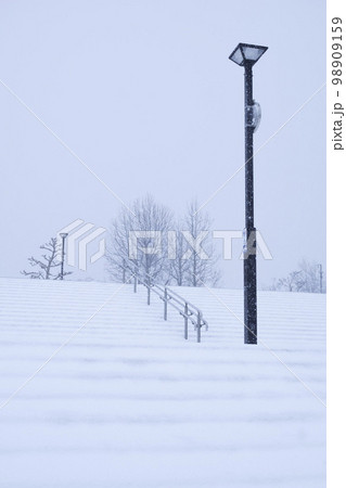 雪の降る公園の風景 鳥取県 布勢運動公園 雪の降る公園の風景 鳥取県 布勢運動公園 98909159