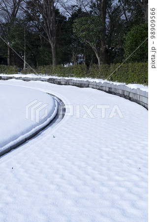 雪の降った公園の風景 鳥取県 布勢運動公園 雪の降った公園の風景 鳥取県 布勢運動公園 98909566