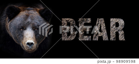 Portrait of bear with a name on a dark background. The text is from her fur 98909598