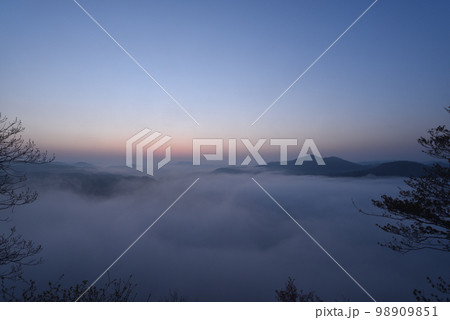 鎌倉山の雲海、茂木、栃木県 98909851