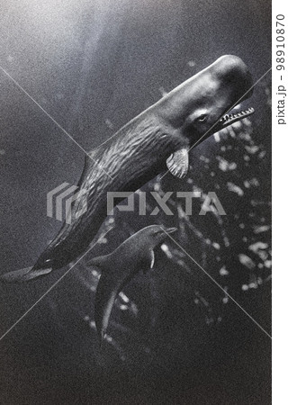 昔々のクジラとイルカ 昔々のクジラとイルカ 98910870