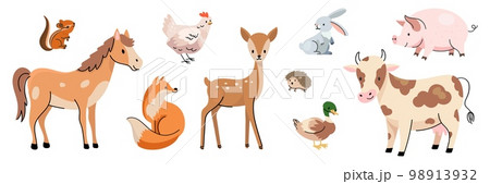 Farm and forest animal characters. Farmed animals, cow horse and pig. Isolated cartoon kids zoo elements, nowaday wildlife vector collection 98913932