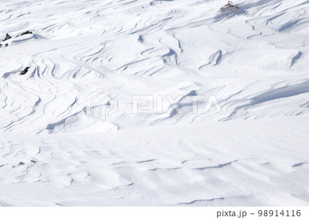 雪景色(北横岳 坪庭自然園 長野県 茅野市) 雪景色(北横岳 坪庭自然園 長野県 茅野市) 98914116