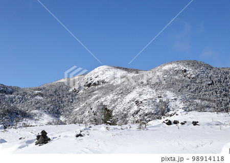 雪景色(北横岳 坪庭自然園 長野県 茅野市) 雪景色(北横岳 坪庭自然園 長野県 茅野市) 98914118