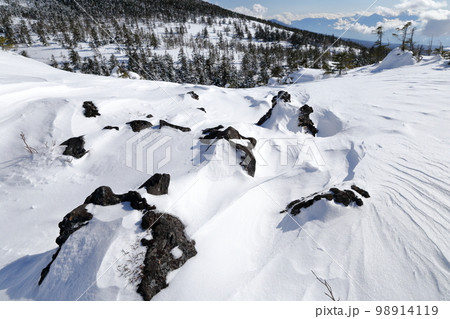 雪景色(北横岳 坪庭自然園 長野県 茅野市) 雪景色(北横岳 坪庭自然園 長野県 茅野市) 98914119