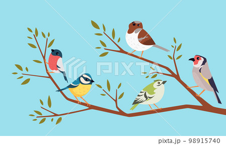 Birds on a branch. Cartoon animals sitting on branch funny pigeons and sparrows exact vector background Birds on a branch. Cartoon animals sitting on branch funny pigeons and sparrows exact vector background 98915740