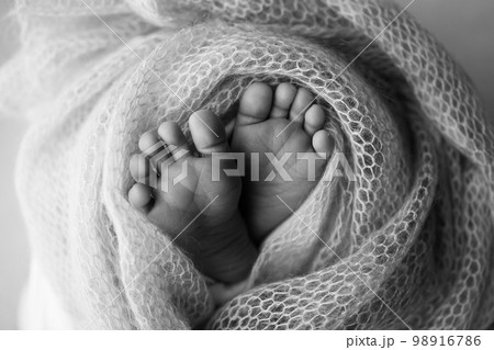 Close-up of tiny, cute, bare toes, heels and feet of a newborn girl, boy. Baby foot on soft coverlet, blanket. Detail of a newborn baby legs.Macro horizontal professional studio photo. Black and white Close-up of tiny, cute, bare toes, heels and feet of a newborn girl, boy. Baby foot on soft coverlet, blanket. Detail of a newborn baby legs.Macro horizontal professional studio photo. Black and white 98916786