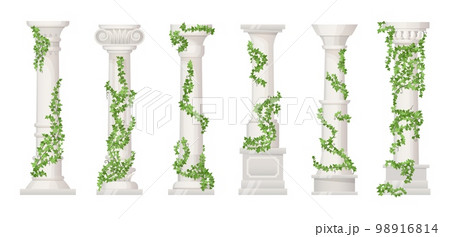 Ivy columns. Marble pillars or ancient stone column with floral vines, green leaf for wedding decoration greek building trellis roman antique podium, ingenious vector illustration Ivy columns. Marble pillars or ancient stone column with floral vines, green leaf for wedding decoration greek building trellis roman antique podium, ingenious vector illustration 98916814