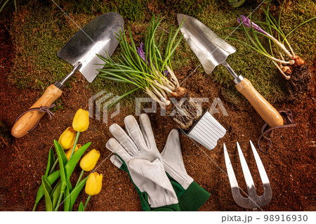 Spring gardening concept 98916930