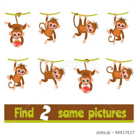 Find two identical pictures. Educational game for children. Same monkeys searching. Worksheet design. Similar animals. Preschool kids puzzle. Riddle with funny marmosets. Vector concept Find two identical pictures. Educational game for children. Same monkeys searching. Worksheet design. Similar animals. Preschool kids puzzle. Riddle with funny marmosets. Vector concept 98917617