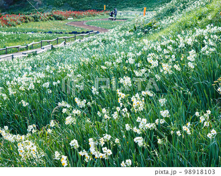 瓜木崎の冬 瓜木崎の冬 98918103