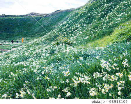 瓜木崎の冬　 98918105