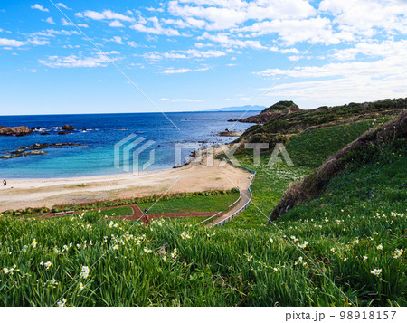 瓜木崎の冬　 98918157