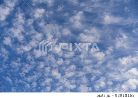 White clouds all over the sky with a blue background of daylight sky. Natural composition of the sky. Design element, background. 98918168