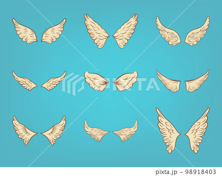 Vector Wing Icon with Outline Set. Vintage White Wings, Icons, Design Template, Clipart Collection. Cupid, Bird Wings. Vector illustration 98918403