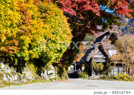 【白川郷】見頃の紅葉と合掌造りの村歩き 【白川郷】見頃の紅葉と合掌造りの村歩き 98918794
