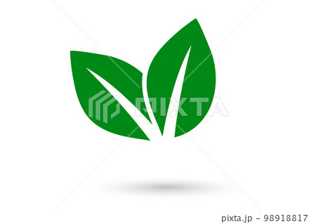 Leaf logo and banner for company lettering Leaf logo and banner for company lettering 98918817