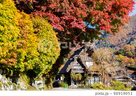 【白川郷】見頃の紅葉と合掌造りの村歩き 【白川郷】見頃の紅葉と合掌造りの村歩き 98919051