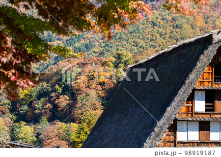 【白川郷】見頃の紅葉と合掌造りの村歩き 【白川郷】見頃の紅葉と合掌造りの村歩き 98919187